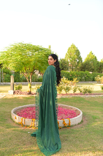Zenia - Saree