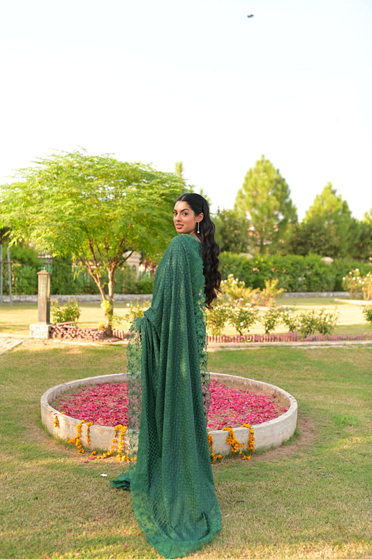 Zenia - Saree